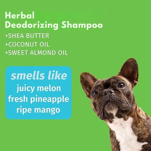 Hempz Petz Sweet Pineapple Honey Melon Herbal Deodorizing Shampoo 17oz