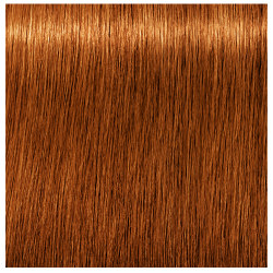 Beauty - Schwarzkopf Professional Royal Absolutes 7-70 Medium Blonde Copper Natural