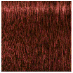 straffen betreden cent Maritime Beauty - Schwarzkopf Professional Igora Royal Absolutes 6-80 Dark  Blonde Red Natural